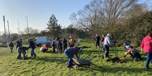 Planting Trees in the Community Garden